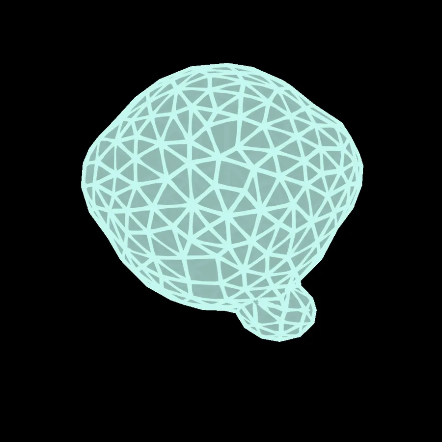 Le cerveau 3D neural